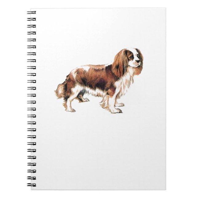 Carnet Cavalier King Charles Spaniel (Devant)