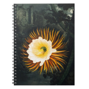 Carnet Céréus de Nuit Antique Art Gothique