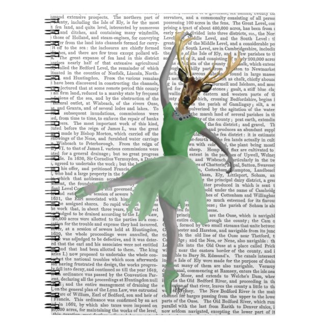 Carnet Cerf de ballet en vert (Devant)