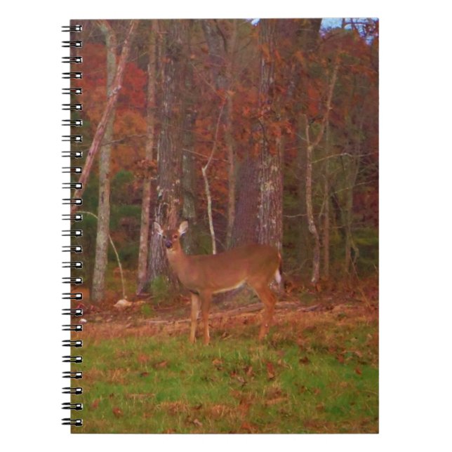 Carnet Cerf, Grass vert rouge et feuilles d'or (Devant)