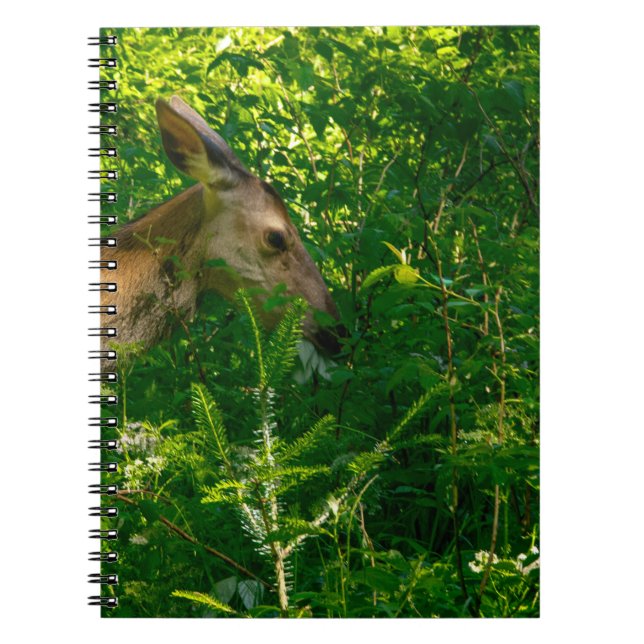 Carnet Cerf roux dans la forêt. (Devant)