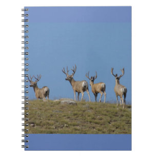 Carnet Cerfs mulet D9 en velours sur fond de ciel