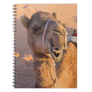 Carnet Chameau avec une expression faciale drôle - Oman