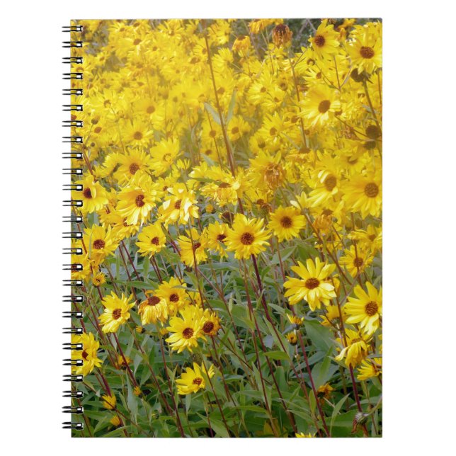 Carnet Champ De Fleurs Jaunes Vibrantes (Devant)