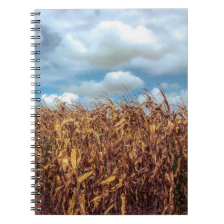 Carnet Champ de Maïs Rustique et Ciel Bleu Dramati