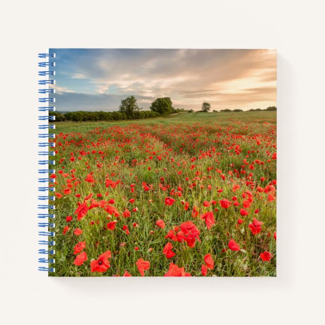 Carnet Champ de pavots (Devant)