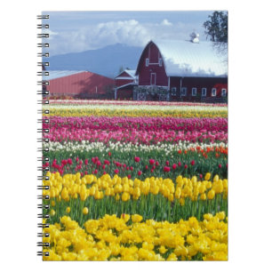 Carnet Champ de tulipes