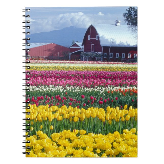 Carnet Champ de tulipes (Devant)