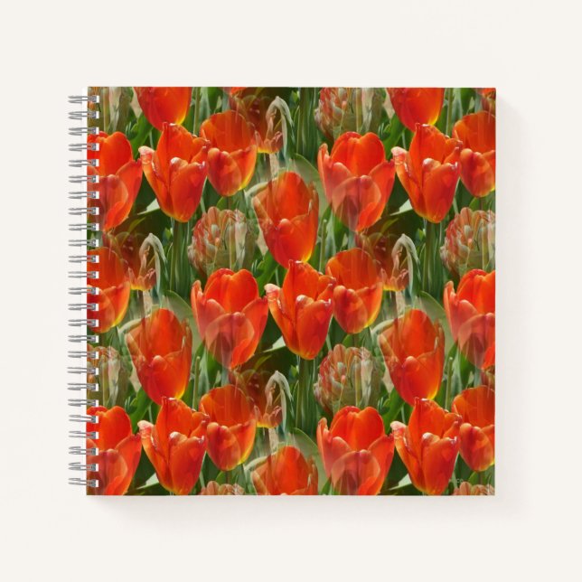 Carnet Champ de tulipes....... (Devant)
