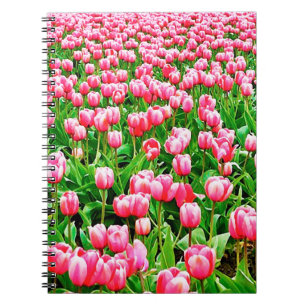 Carnet Champ de tulipes roses