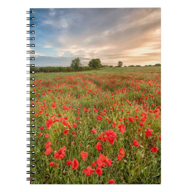 Carnet Champ des pavots (Devant)