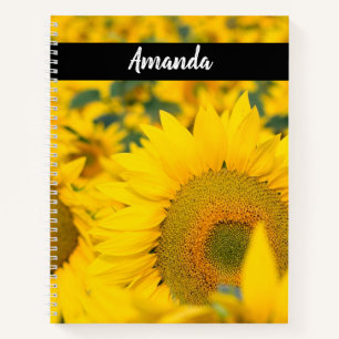 Carnet Champ jaune de tournesols photo