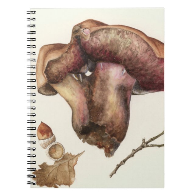 Carnet Champignon (Devant)