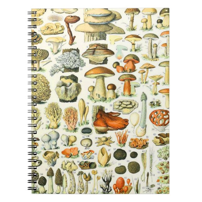 Carnet Champignon Adolphe Millot (Devant)