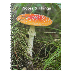 Carnet Champignon de Bois