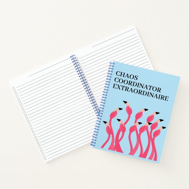 Carnet Chaos Coordinator Extraordinaire Funny Teacher's (Intérieur)