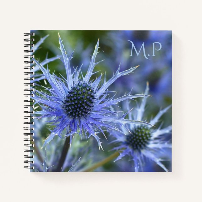 Carnet Chardon de mer bleu Monogramme (Devant)