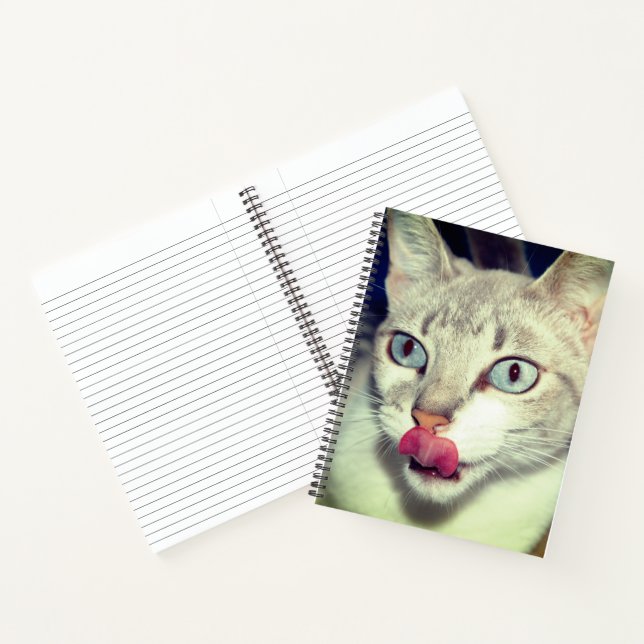 Carnet Chat (Intérieur)