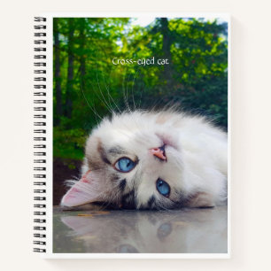 Carnet Chat aux yeux croisés