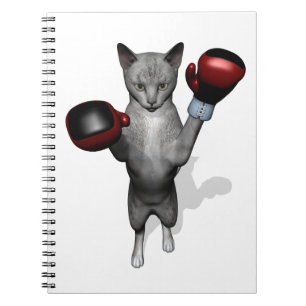 Carnet Chat de boîte