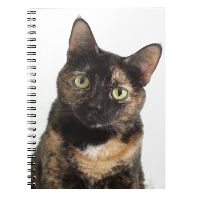 Carnet Chat d'écaille (Devant)