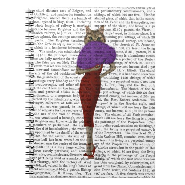 Carnet Chat En Robe Rouge (Devant)