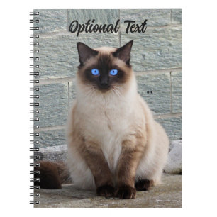 Carnet Chat Fluffy Personnalisé avec des Yeux Bleus