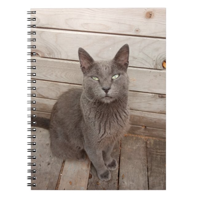 Carnet Chat gris (Devant)