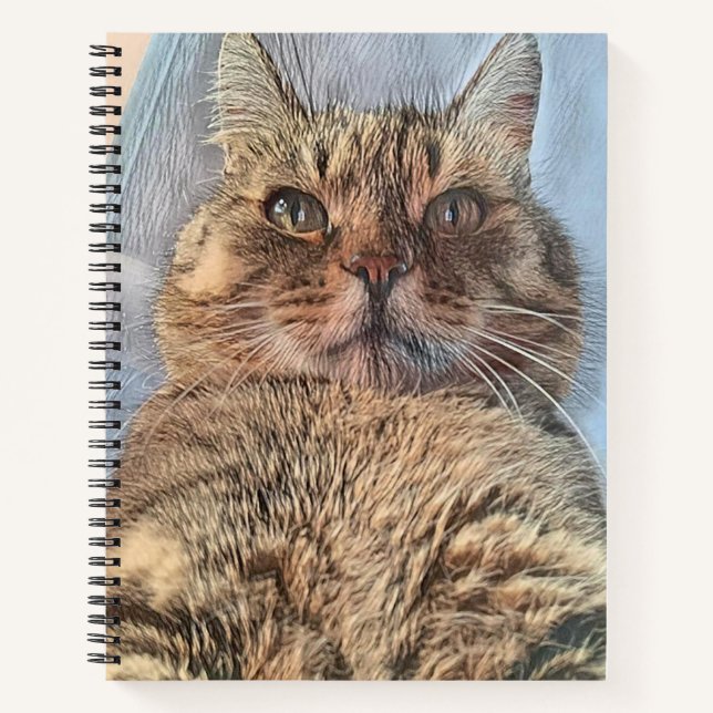 Carnet Chat Majestic de Tigre (Devant)