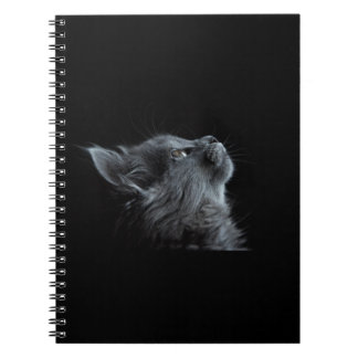Carnet Chat noir