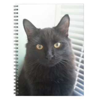 Carnet Chat noir