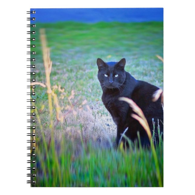 Carnet Chat noir (Devant)