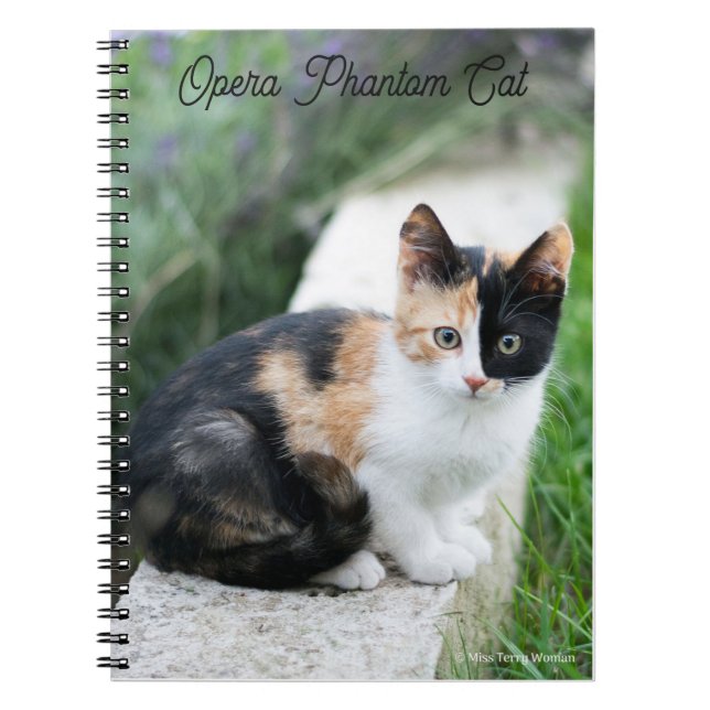 Carnet Chat opéra fantôme (Devant)