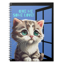 CHAT SUR LE DEVIS DE FENÊTRE