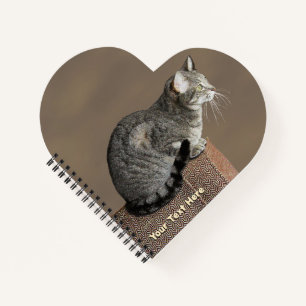 Carnet Chat Tabby Gris Fumé