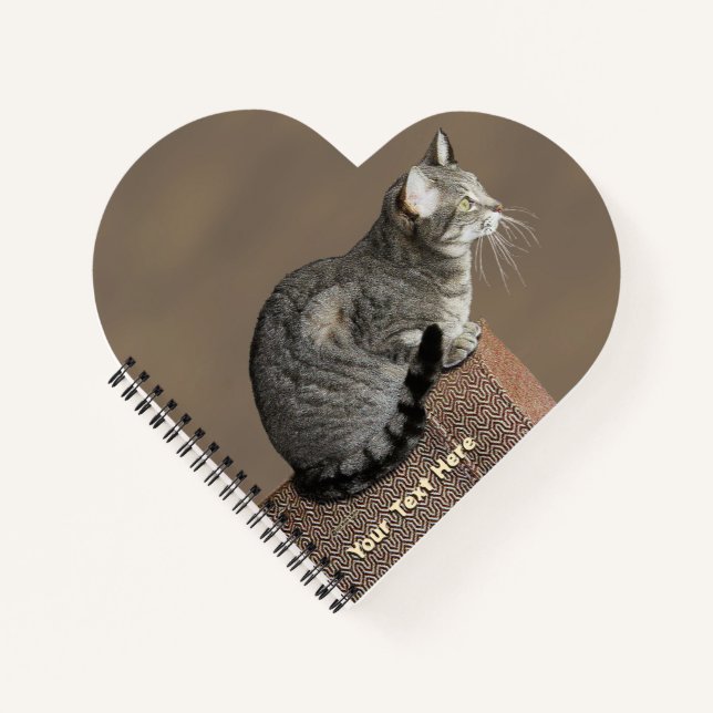 Carnet Chat Tabby Gris Fumé (Devant)