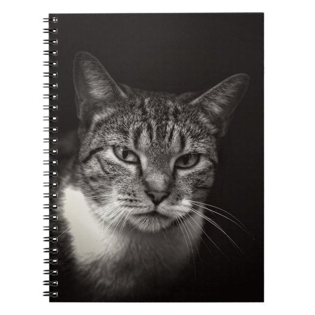 CARNET CHAT TABLEAU D'ARGENT (Devant)