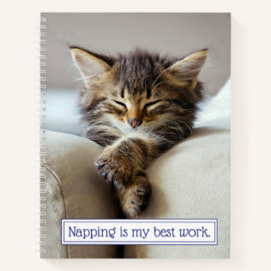 Carnet Chaton couchant