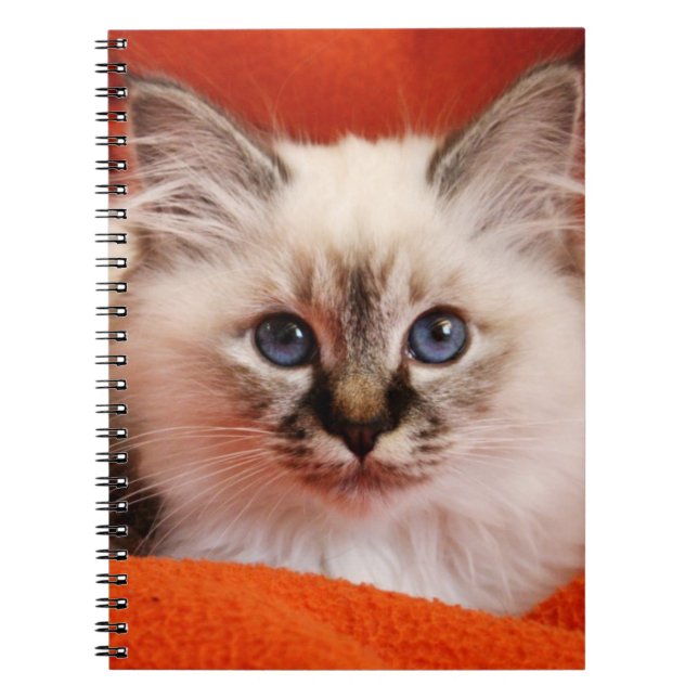 Carnet Chaton sacré de Birman (Devant)