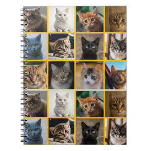 Carnet Chatons partout