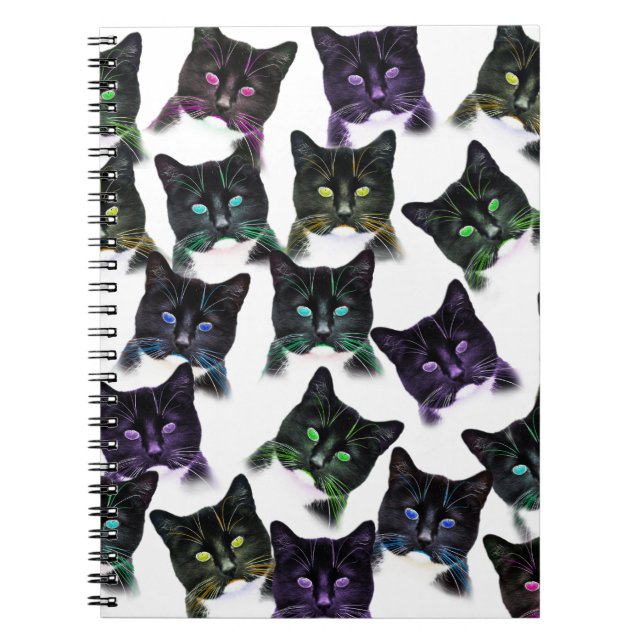 Carnet Chats cool (Devant)
