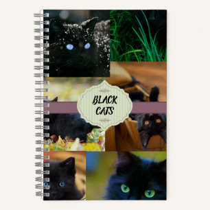 Carnet Chats noirs