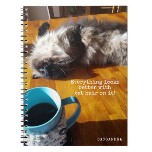 CARNET CHATTE TOUT EST MEILLEUR AVEC CHEVEUX CHAT