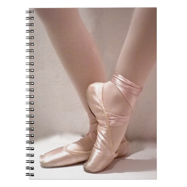 Carnet Chaussures en ballet rose (Devant)