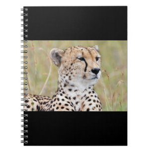 Carnet Cheetah