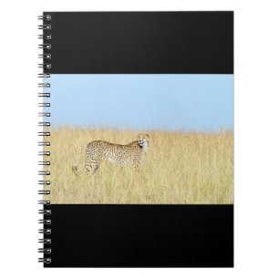 Carnet Cheetah