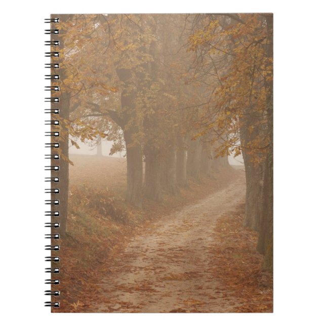 Carnet Chemin boisé bordé par des arbres d'automne Photo (Devant)