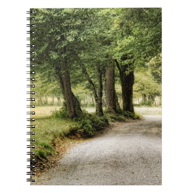 Carnet Chemin dans le pays (Devant)