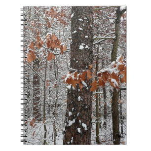 Carnet Chênes couverts de neige hiver Photographie de la