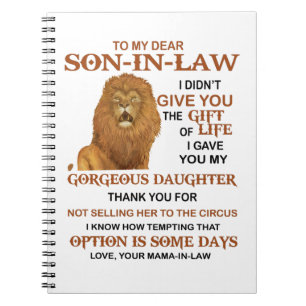 Carnet Cher gendre, je ne t'ai pas offert la vie
